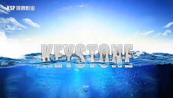 案例 网思 北京网站建设